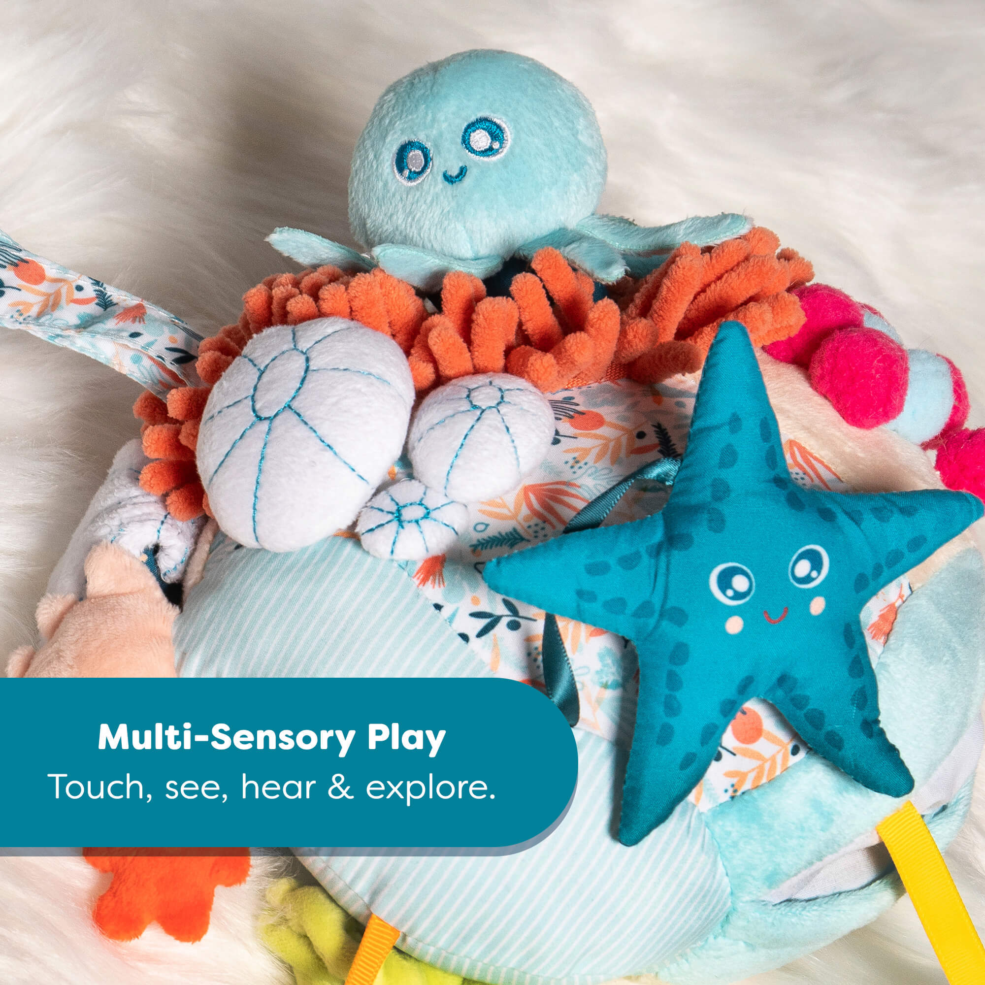 Sensorial Reef Baby Activity Toy